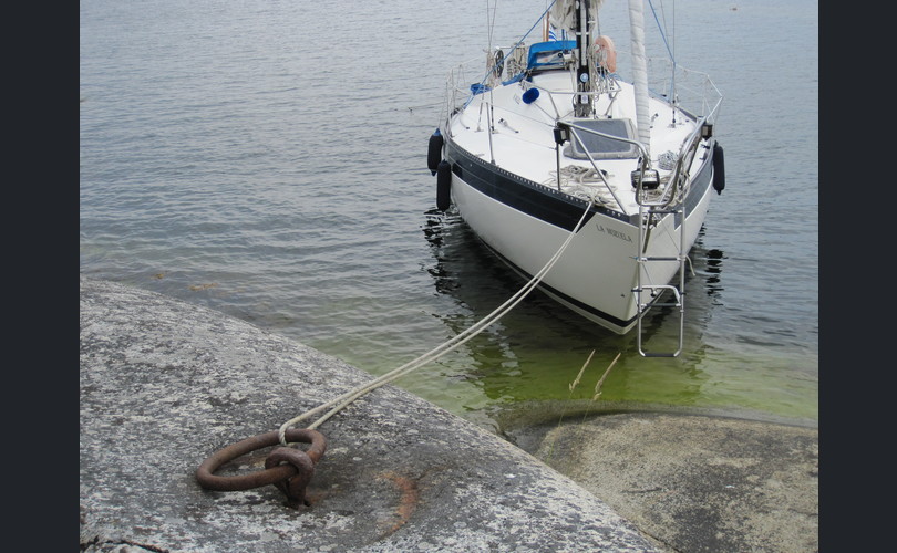 King´s Cruiser King´s Cruiser 33-kuva-10